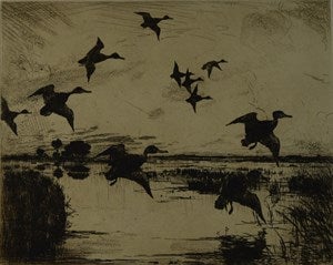 Image description is not available for DU1946.244